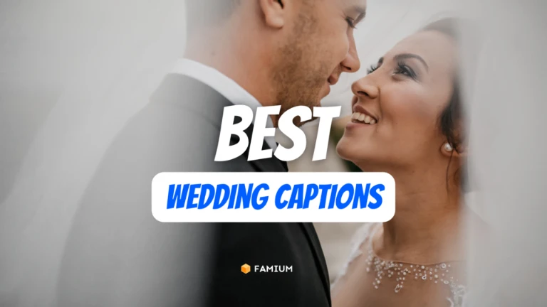 Best Wedding Guest Captions for Instagram